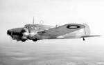 Highlight for Album: Anson W2586 Highlight for Album: Anson W2586